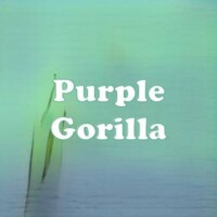 Purple Gorilla strain