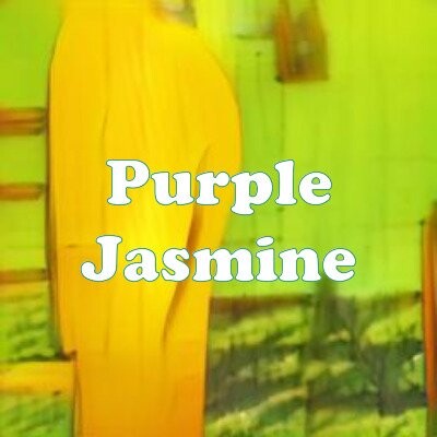 Purple Jasmine strain