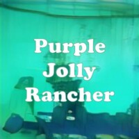 Purple Jolly Rancher strain