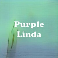 Purple Linda strain