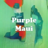 Purple Maui strain