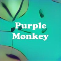 Purple Monkey strain