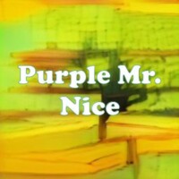 Purple Mr. Nice strain