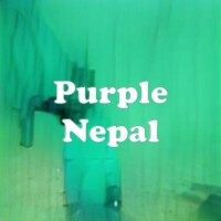 Purple Nepal strain