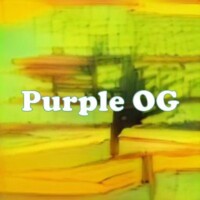 Purple OG strain