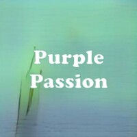 Purple Passion strain