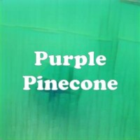 Purple Pinecone strain