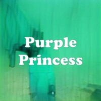 Purple Princess strain