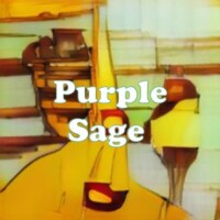 Purple Sage  strain
