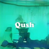 Qush strain