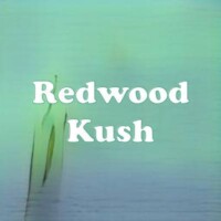 Redwood Kush strain