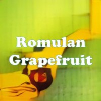 Romulan Grapefruit strain