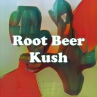 Root Beer Kush strain