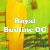 Royal Budline OG strain