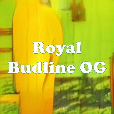 Royal Budline OG strain