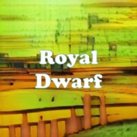 Royal Dwarf strain