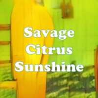 Savage Citrus Sunshine strain