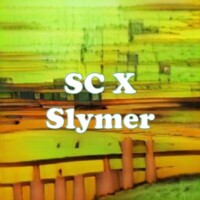 SC X Slymer strain