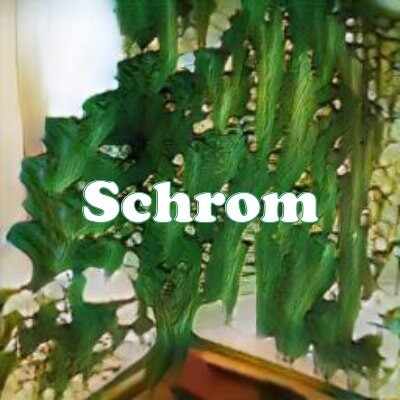 Schrom strain