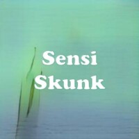 Sensi Skunk strain