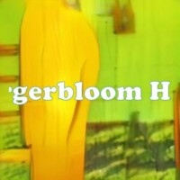 Sergerbloom Haze strain