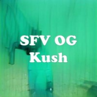 SFV OG Kush strain