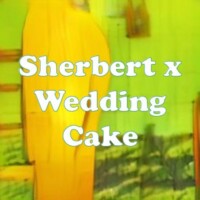 Sherbert x Wedding Cake strain