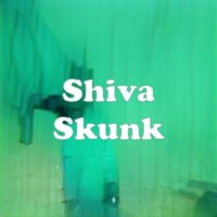 Shiva Skunk strain