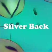 Silver Back strain