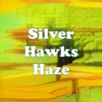 Silver Hawks Haze strain