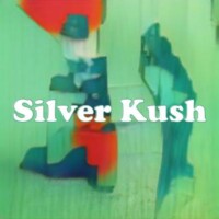 Silver Kush strain