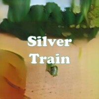Silver Train strain