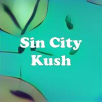 Sin City Kush strain