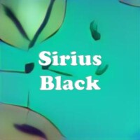 Sirius Black strain