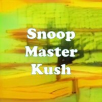 Snoop Master Kush strain