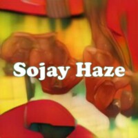 Sojay Haze strain