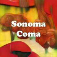 Sonoma Coma strain