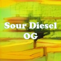 Sour Diesel OG strain