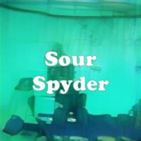 Sour Spyder strain