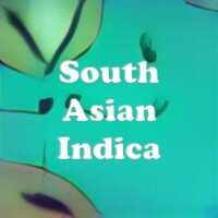 South Asian Indica strain