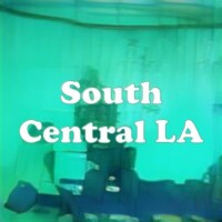 South Central LA strain