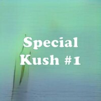 Special Kush #1 strain