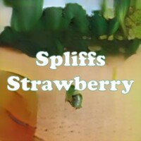 Spliffs Strawberry strain