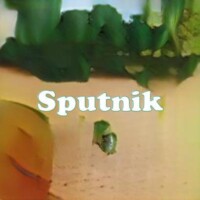 Sputnik strain