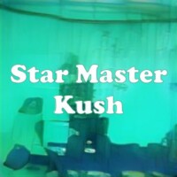 Star Master Kush strain