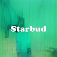 Starbud strain