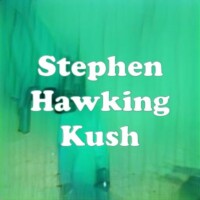 Stephen Hawking Kush strain