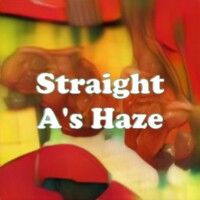 Straight A's Haze strain