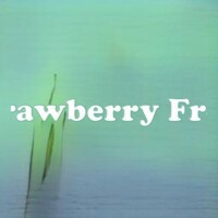 Strawberry Frost strain