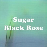 Sugar Black Rose strain